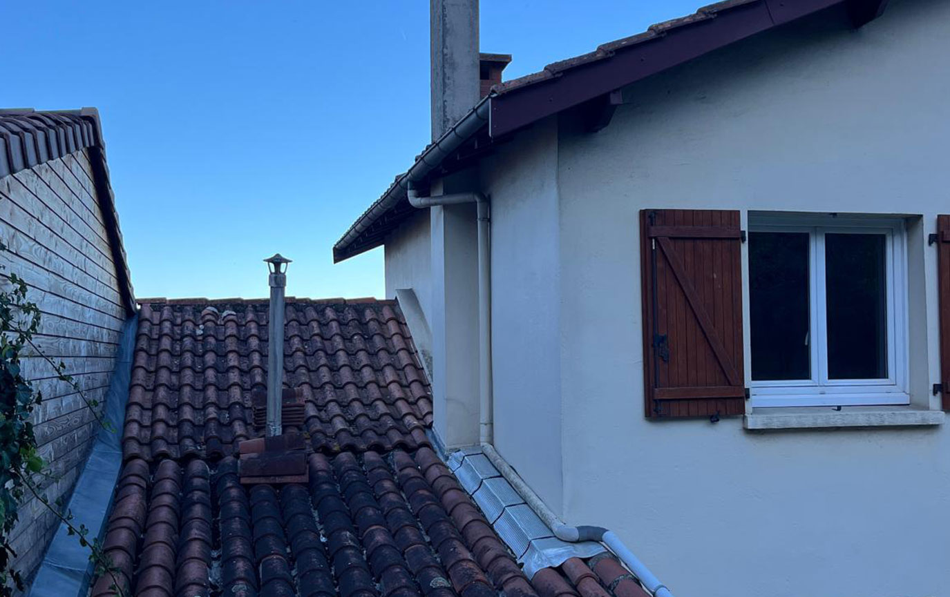 Before image